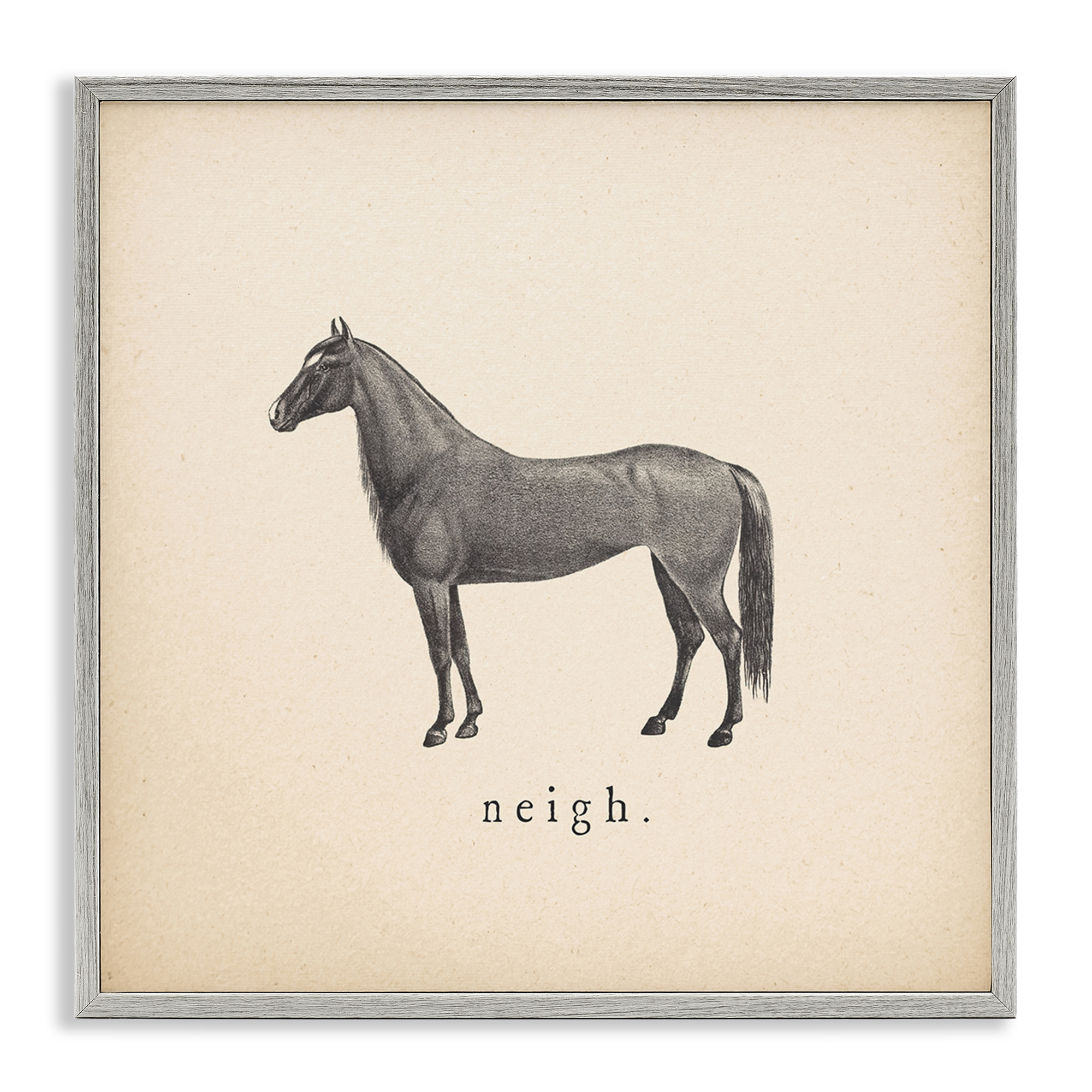 Stupell Industries Neigh Farm Horse Sounds Animals Painting Gray Framed Art Print Wall Art, 24 x 24