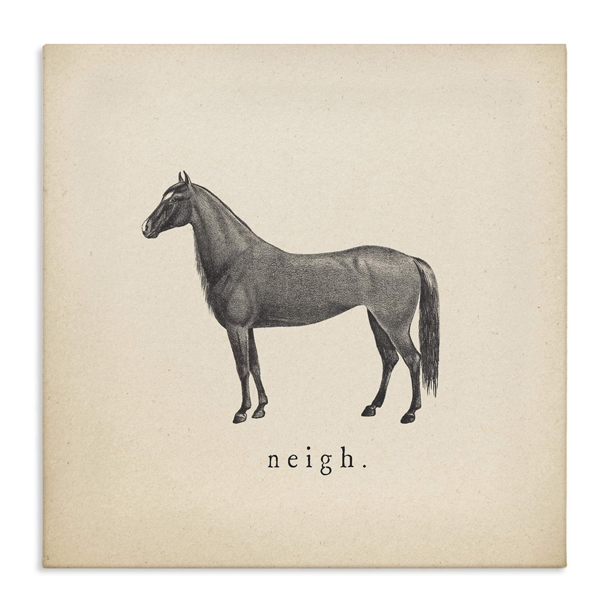 Stupell Industries Neigh Farm Horse Sounds Animals Painting Wrapped Canvas Art Print Wall Art, 17 x 17