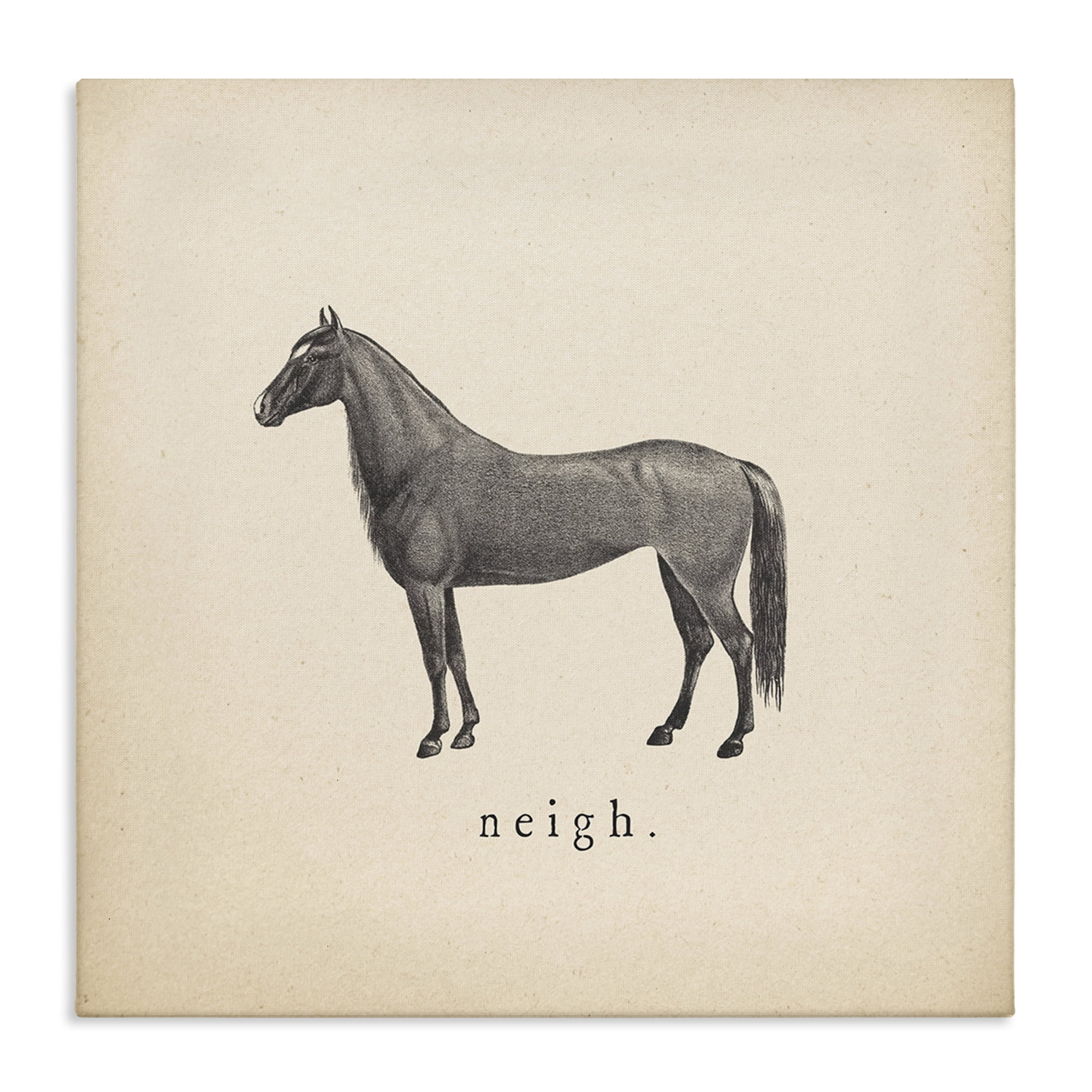 Stupell Industries Neigh Farm Horse Sounds Animals Painting Wrapped Canvas Art Print Wall Art, 24 x 24