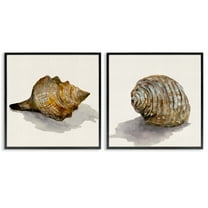 Stupell Industries Neutral Beach Shells Nautical & Beach Painting Black Framed Art Print Wall Art, 12 x 12, Set of 2