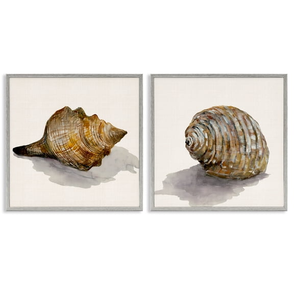 Stupell Industries Neutral Beach Shells Nautical & Beach Painting Gray Framed Art Print Wall Art, 12 x 12, Set of 2