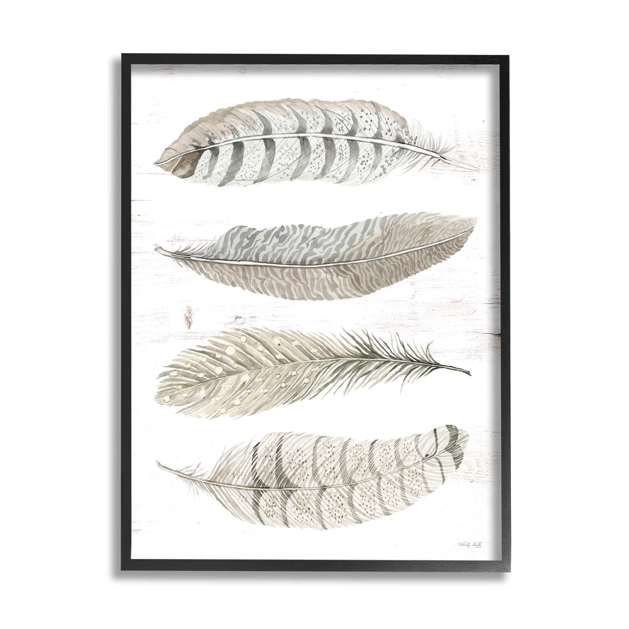 Stupell Industries Neutral Bird Feather Arrangement Natural Patterns Country Quill, 11 x 14,Design by Cindy Jacobs