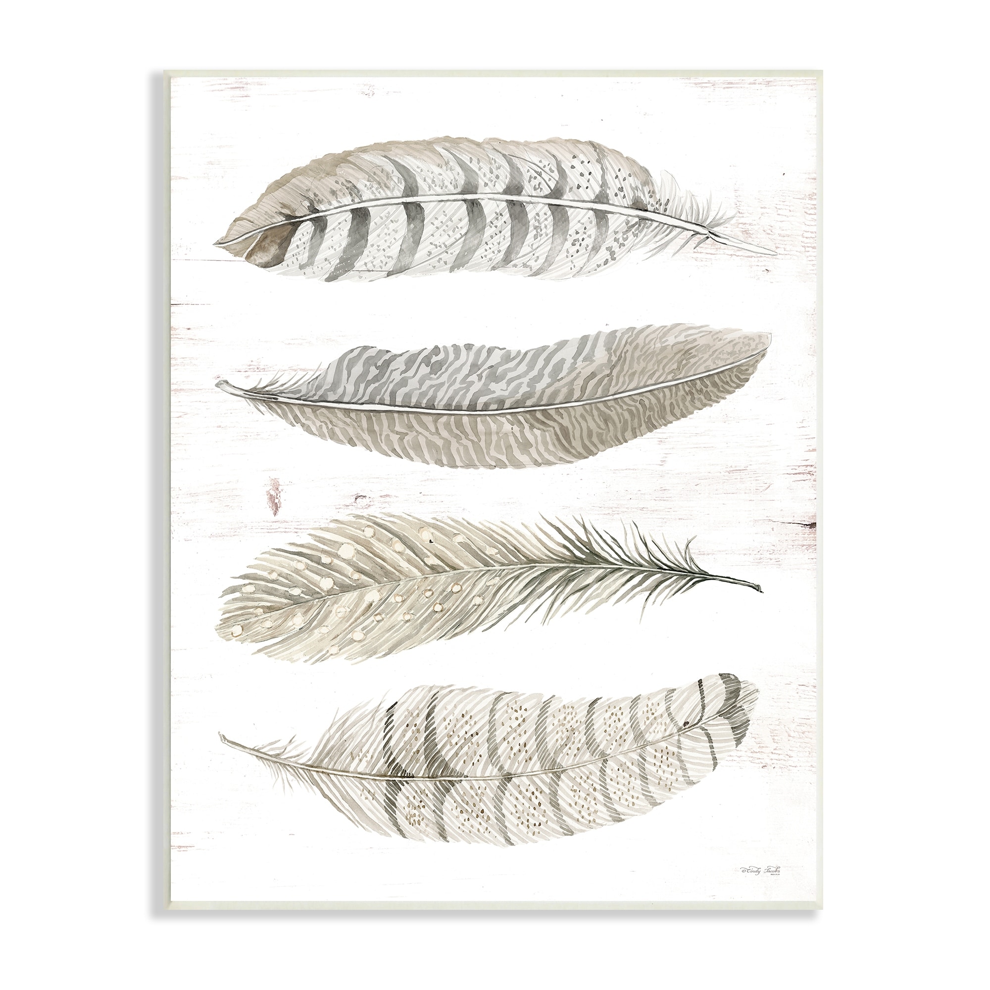 Stupell Industries Neutral Bird Feather Arrangement Natural Patterns Country Quill, 13 x 19,Design by Cindy Jacobs