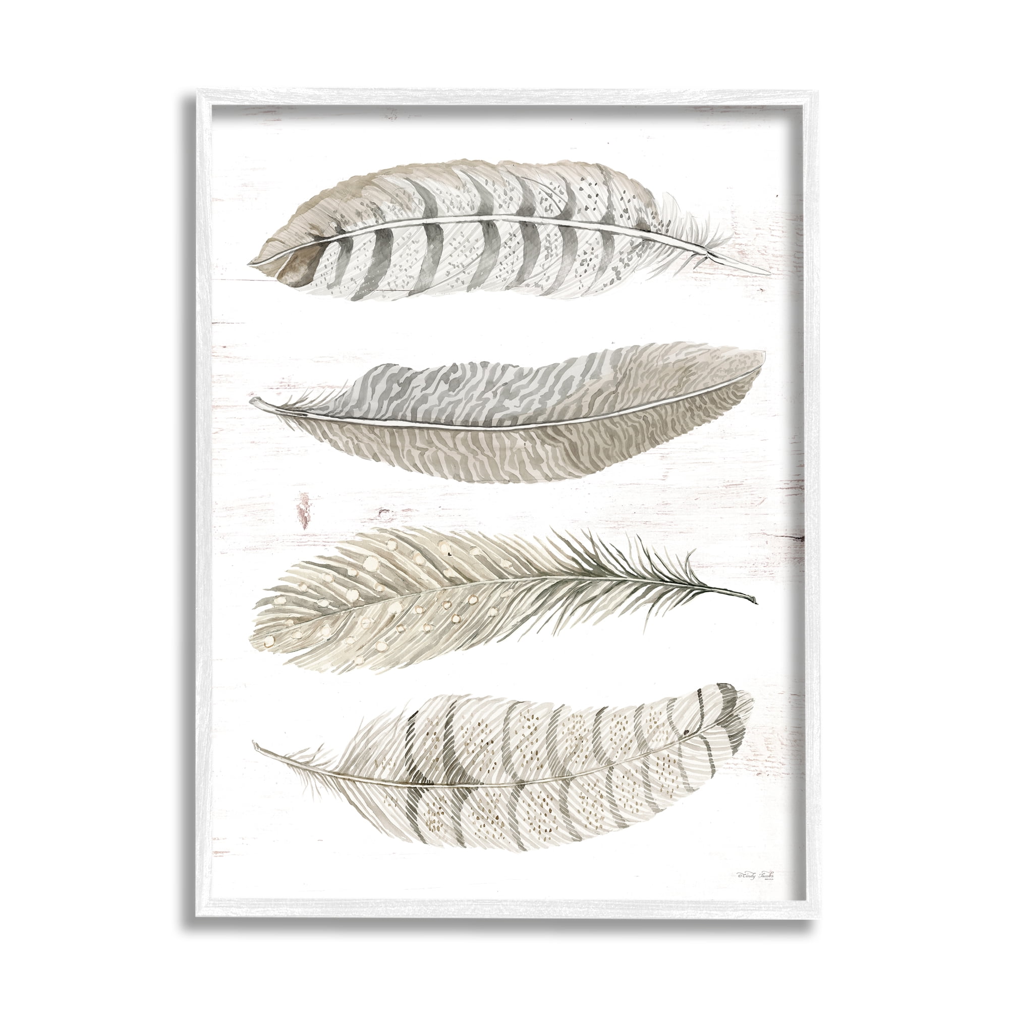 Stupell Industries Neutral Bird Feather Arrangement Natural Patterns Country Quill, 16 x 20,Design by Cindy Jacobs