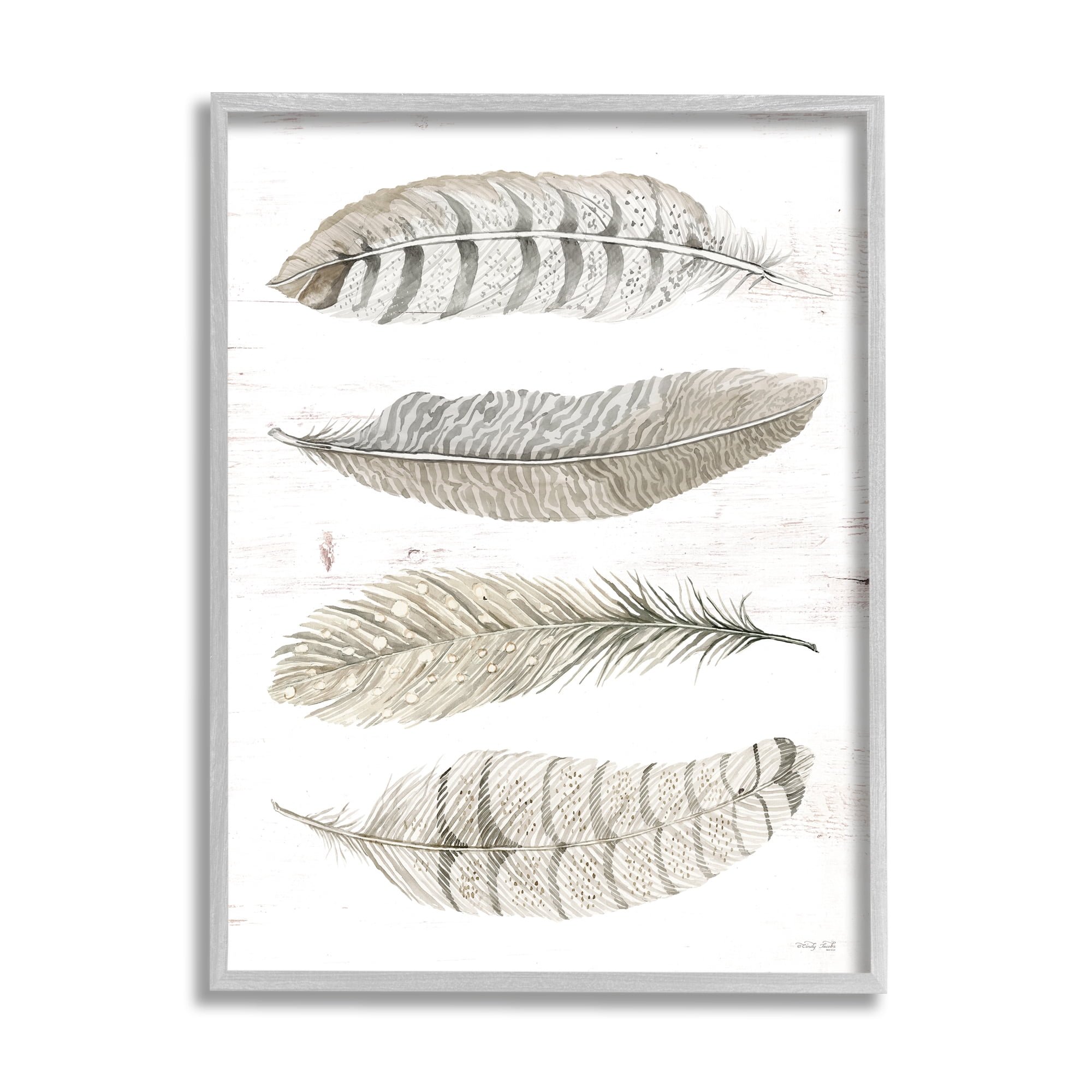 Stupell Industries Neutral Bird Feather Arrangement Natural Patterns Country Quill, 24 x 30,Design by Cindy Jacobs