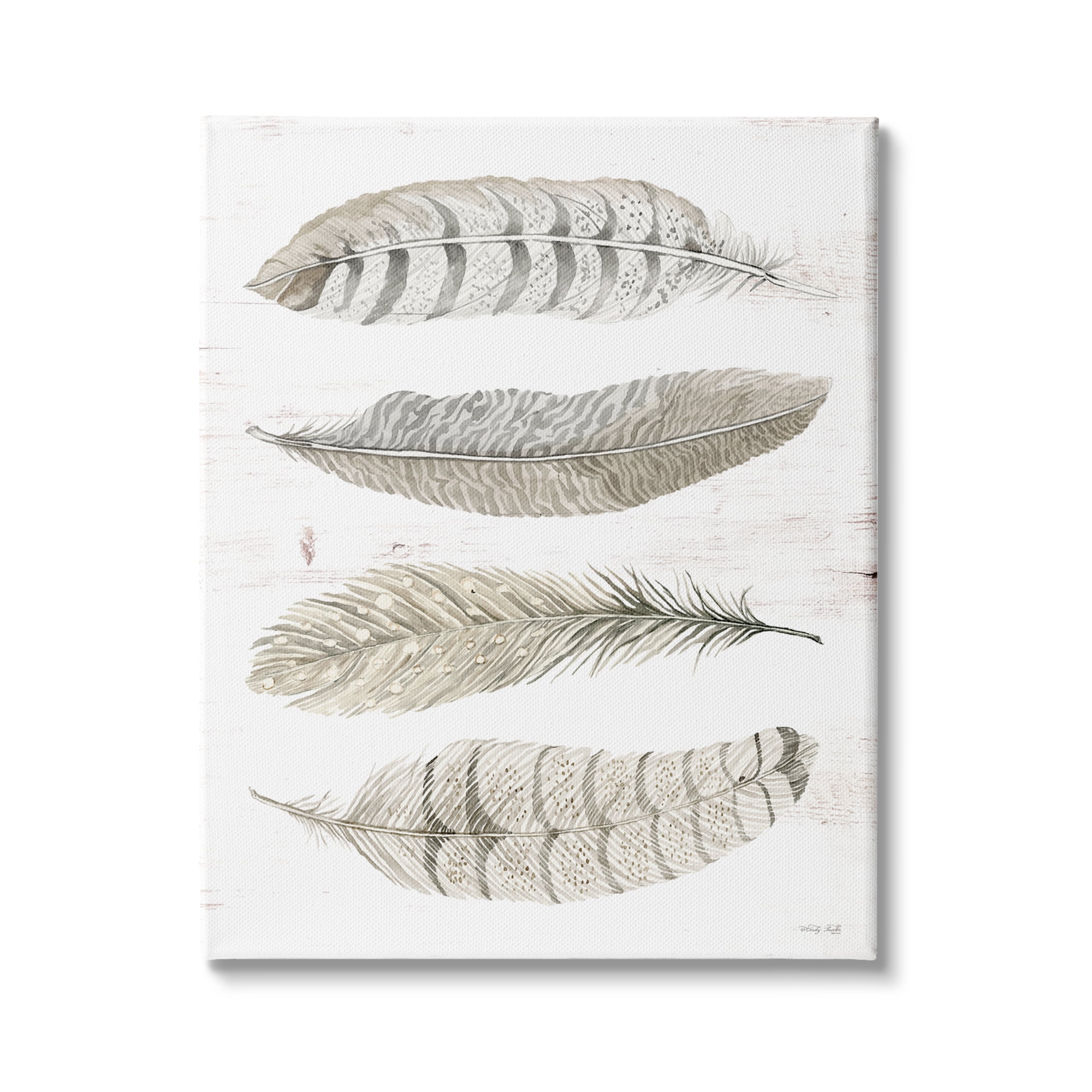 Stupell Industries Neutral Bird Feather Arrangement Natural Patterns Country Quill, 36 x 48,Design by Cindy Jacobs