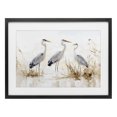 thumbnail image 1 of Stupell Industries Coastal Neutral Blue Herons in Reeds Black Framed Print Under Glass, 20 x 14, by LSR Design Studio, 1 of 8