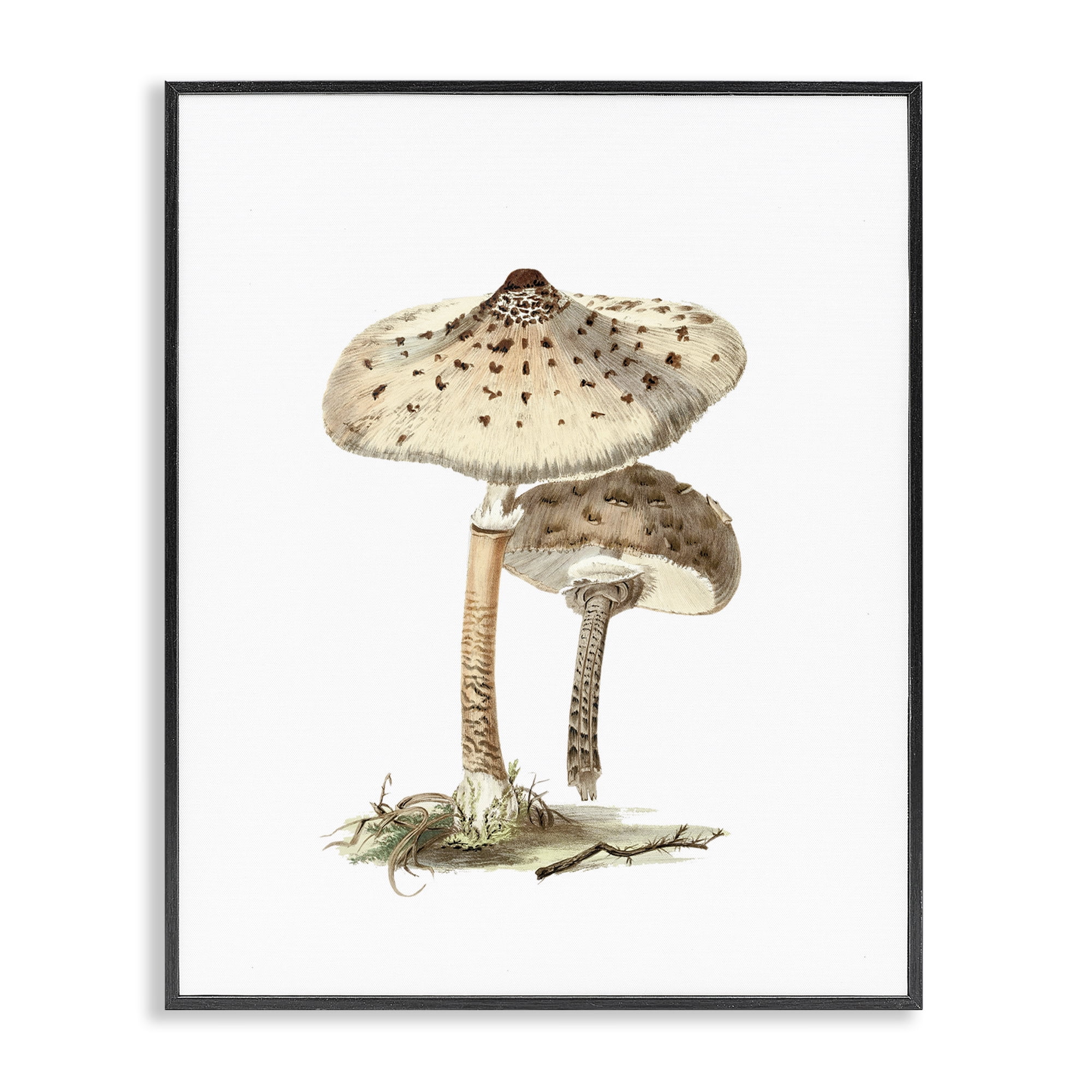 Stupell Industries Neutral Brown Mushrooms Botanical & Floral Painting Black Framed Art Print Wall Art, 16 x 20