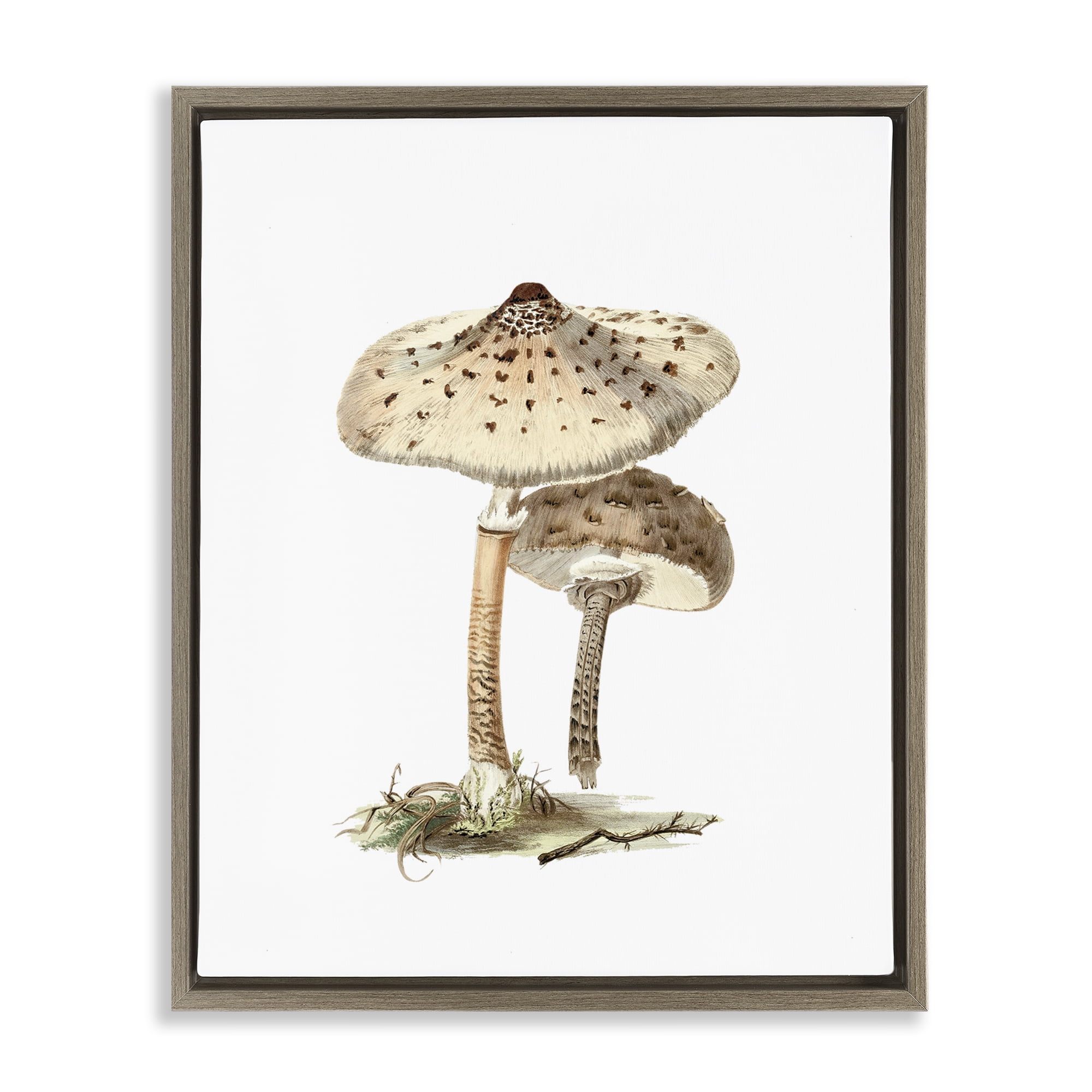Stupell Industries Neutral Brown Mushrooms Botanical & Floral Painting Brown Floater Framed Art Print Wall Art, 17 x 21