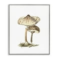 thumbnail image 1 of Stupell Industries Neutral Brown Mushrooms Botanical & Floral Painting Gray Framed Art Print Wall Art, 11 x 14, 1 of 10
