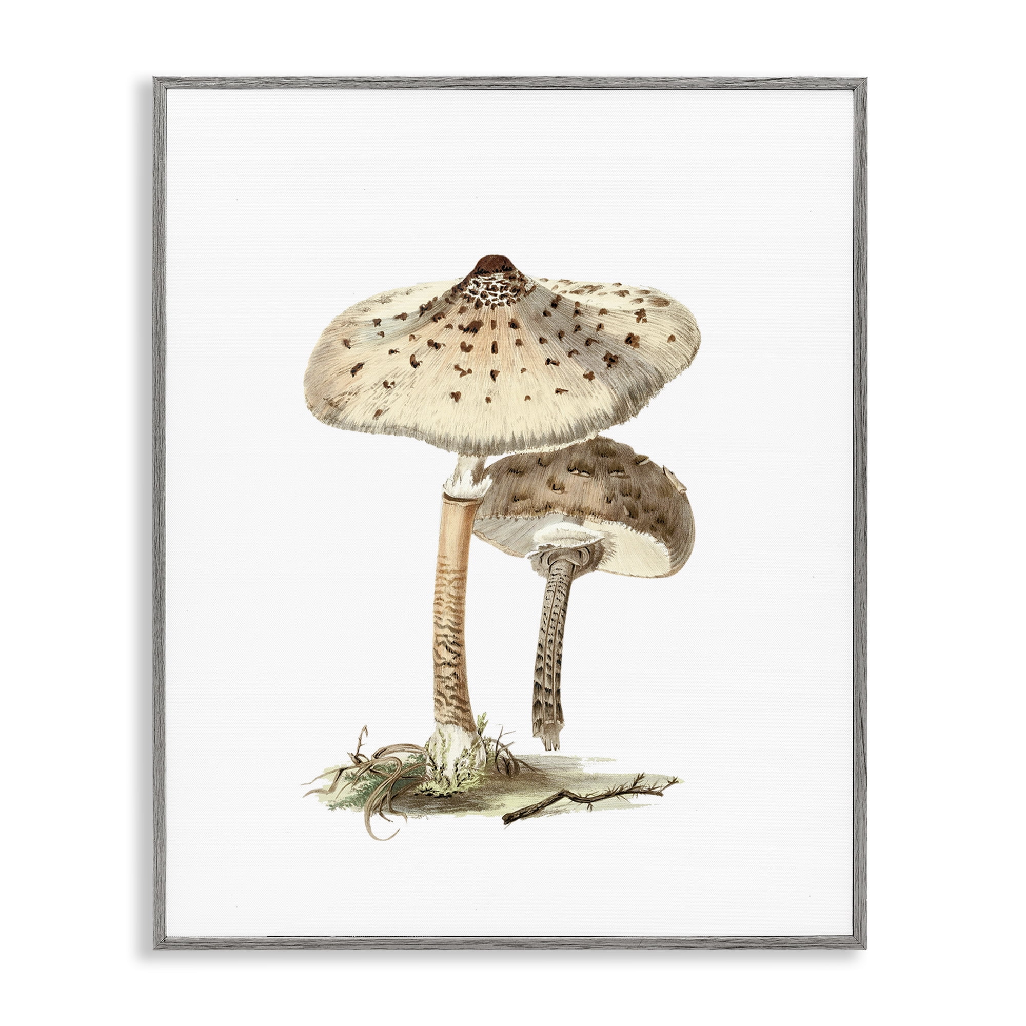 Stupell Industries Neutral Brown Mushrooms Botanical & Floral Painting Gray Framed Art Print Wall Art, 16 x 20