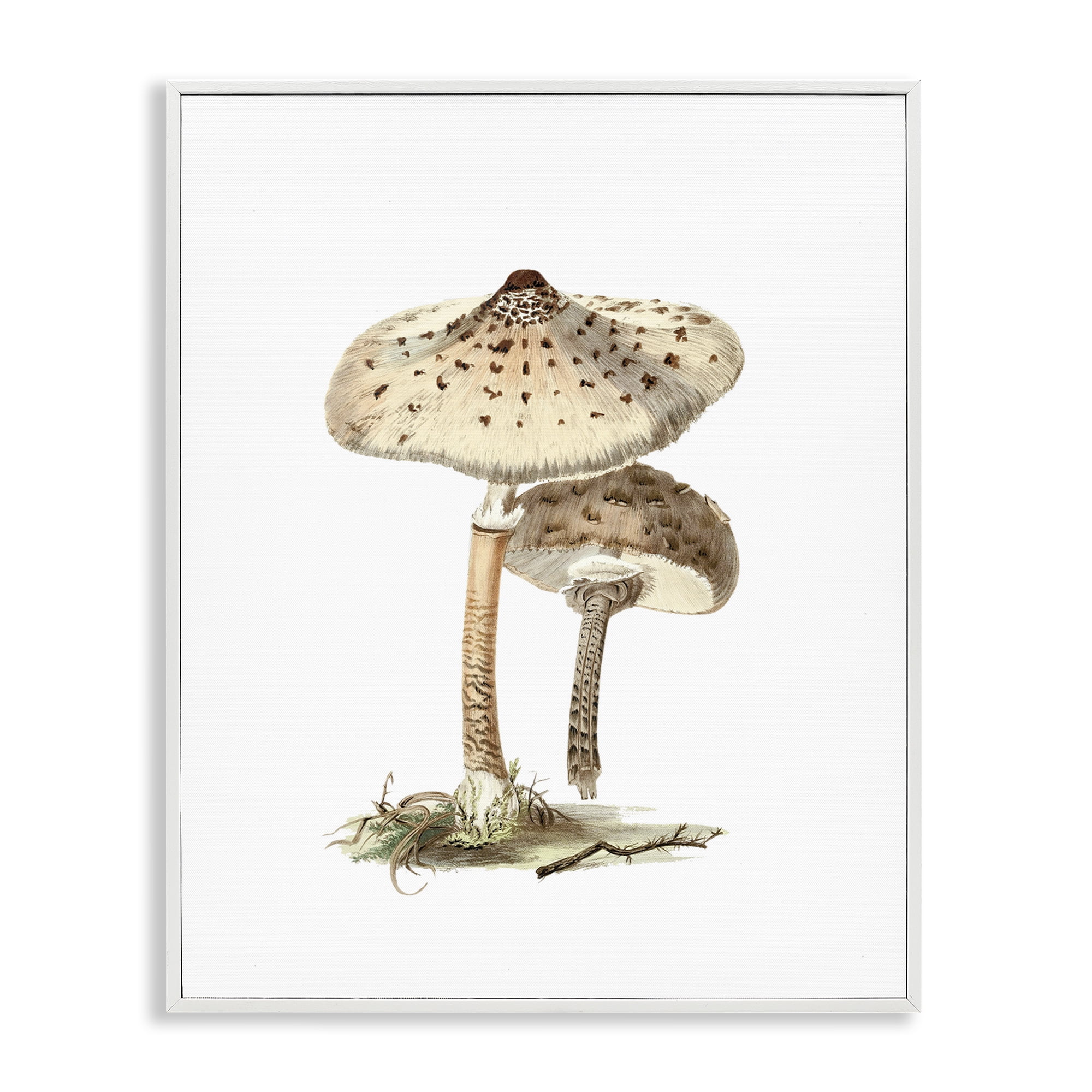 Stupell Industries Neutral Brown Mushrooms Botanical & Floral Painting White Framed Art Print Wall Art, 11 x 14