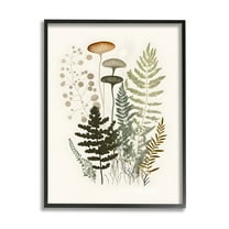 Stupell Industries Neutral Forest Ferns Botanical & Floral Painting Black Framed Art Print Wall Art, 11 x 14