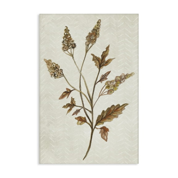 Stupell Industries Neutral Garden Botanics Botanical & Floral Painting Gallery Wrapped Canvas Art Print Wall Art, 16 x 24