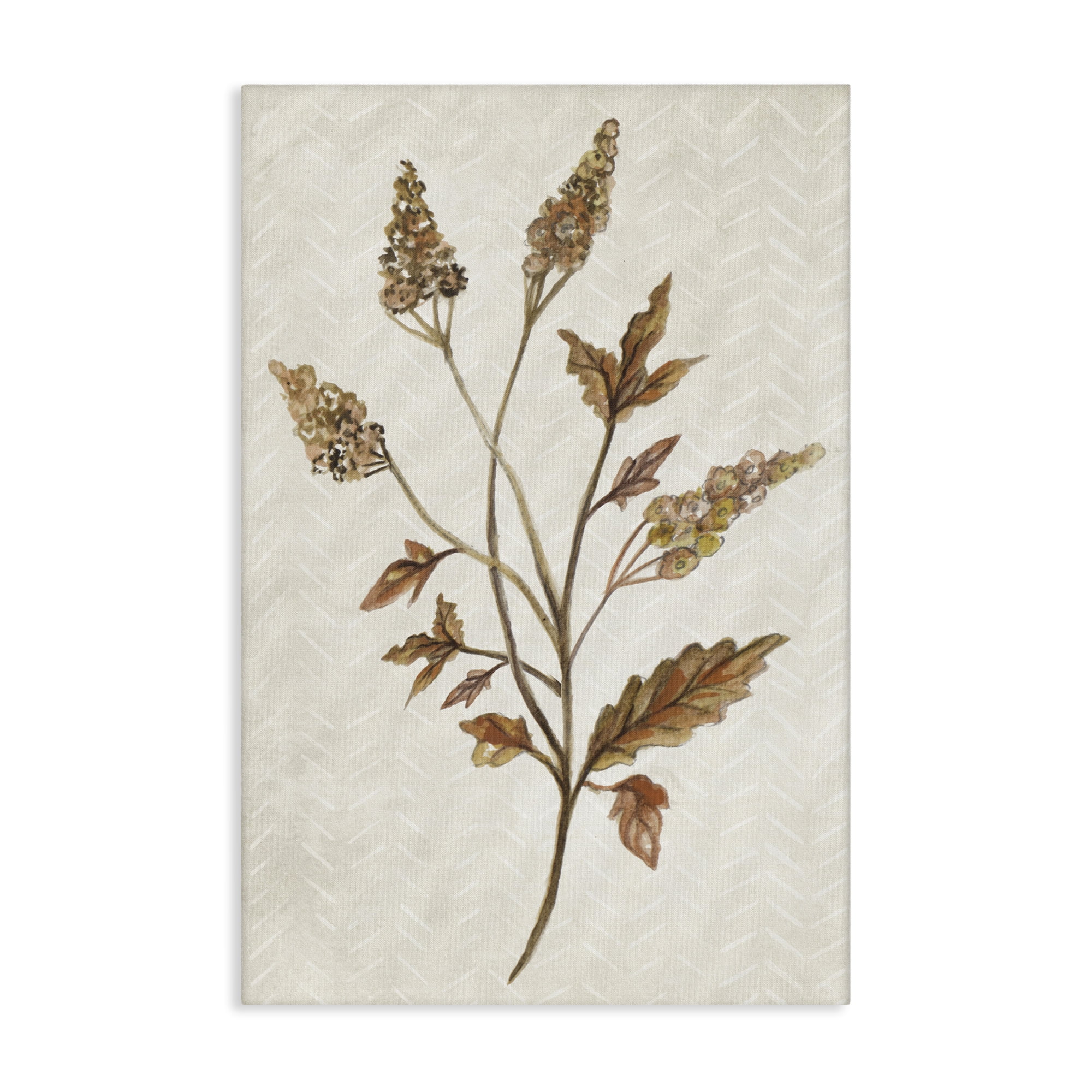 Stupell Industries Neutral Garden Botanics Botanical & Floral Painting Gallery Wrapped Canvas Art Print Wall Art, 24 x 36