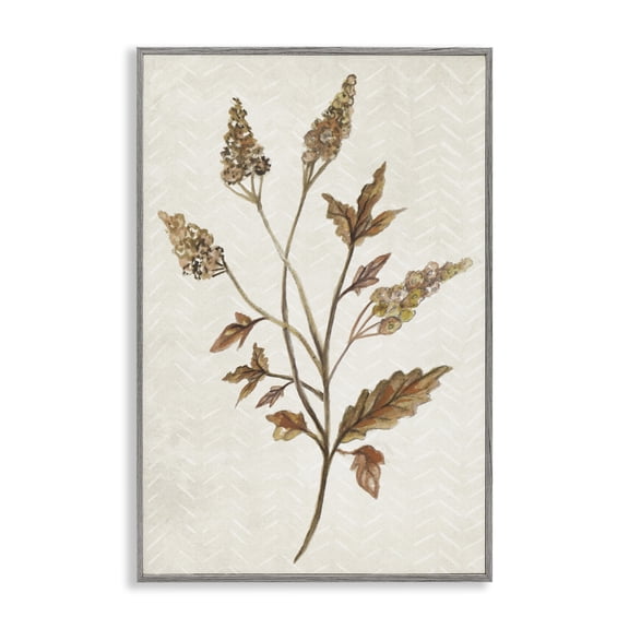 Stupell Industries Neutral Garden Botanics Botanical & Floral Painting Gray Framed Art Print Wall Art, 12 x 18