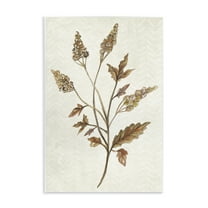 Stupell Industries Neutral Garden Botanics Botanical & Floral Painting Unframed Art Print Wall Art, 10 x 15