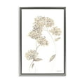 thumbnail image 1 of Stupell Industries Neutral Geranium Florets Botanical & Floral Painting Gray Floater Framed Art Print Wall Art, 21 x 31, 1 of 10