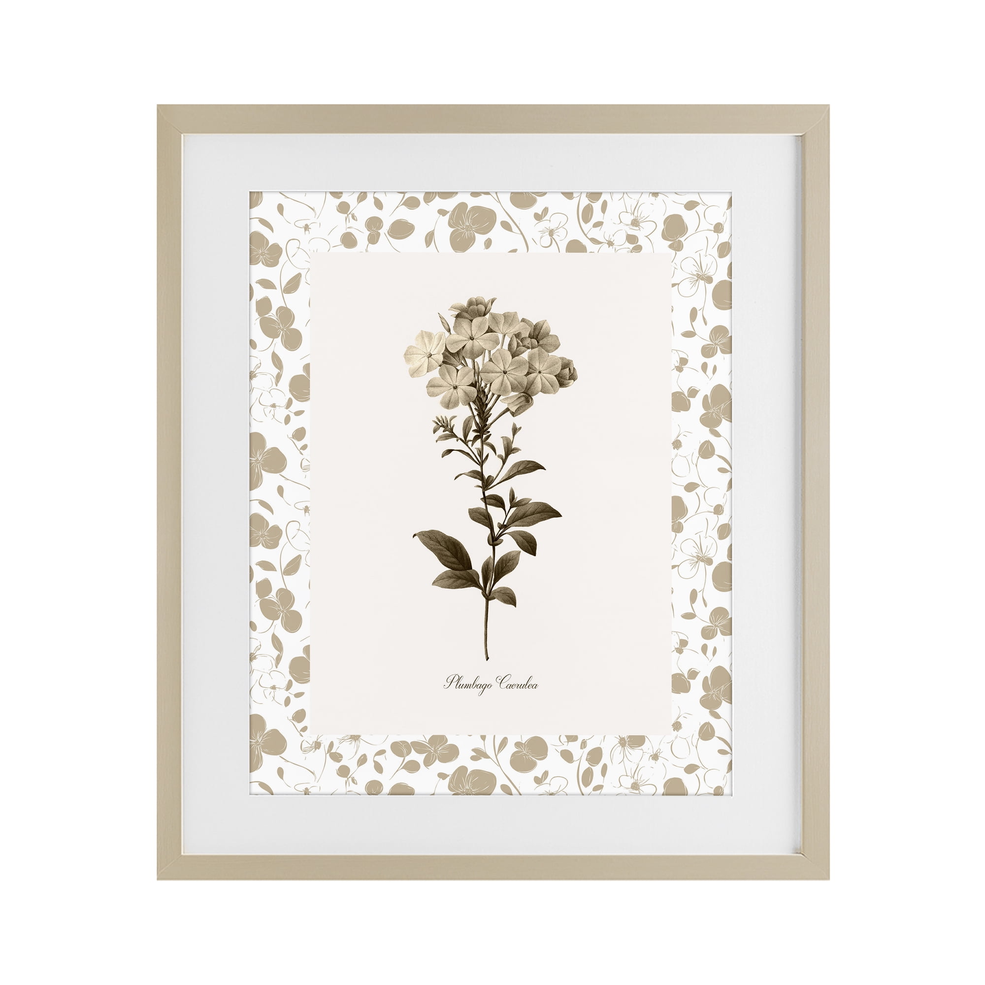 Stupell Industries Neutral Imperial Botanical Birch Framed Print Under Glass, design by Kelly Donovan