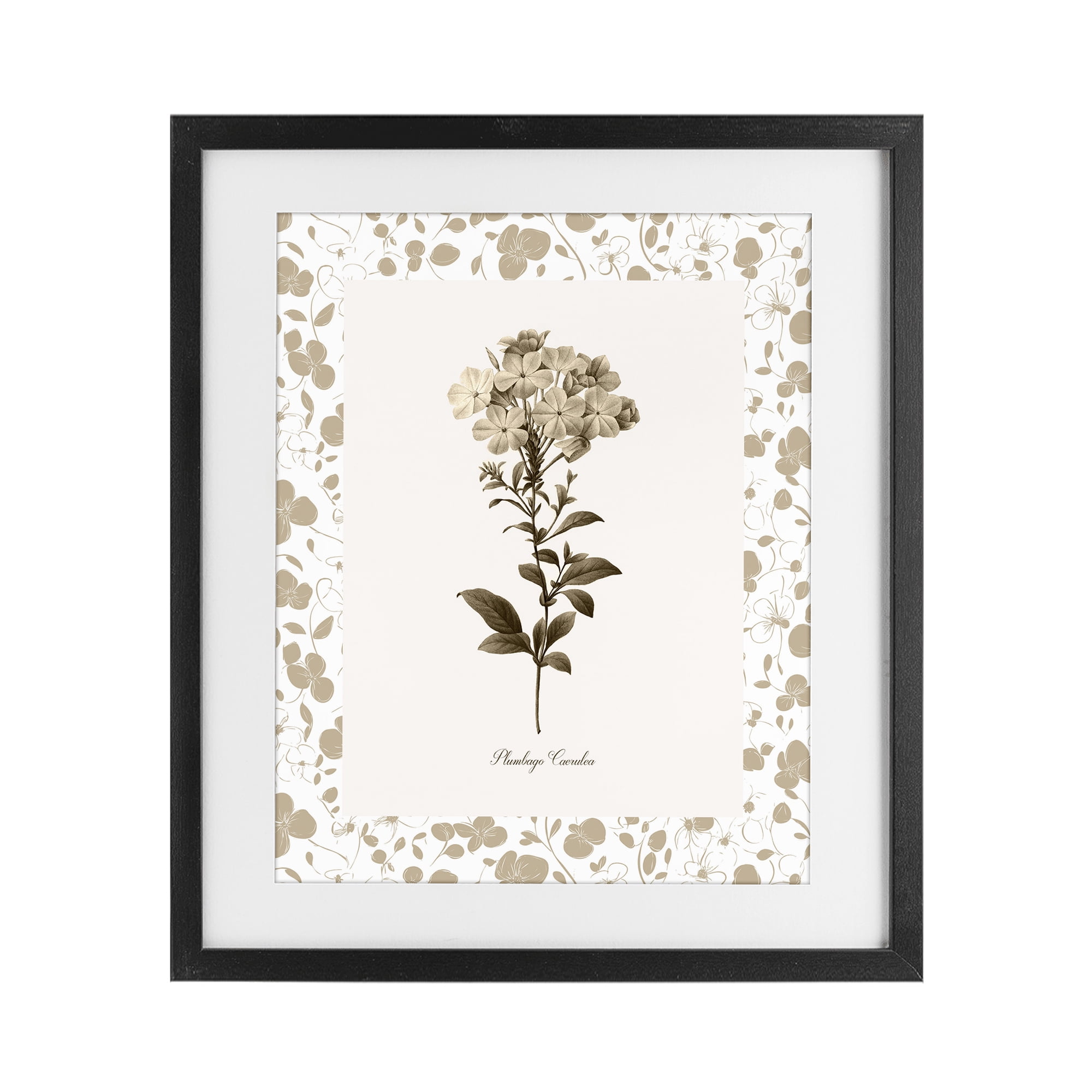 Stupell Industries Neutral Imperial Botanical Black Framed Print Under Glass, design by Kelly Donovan