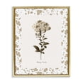 thumbnail image 1 of Stupell Industries Traditional Neutral Imperial Botanical Gold Floating Frame Canvas Art, 25 x 31, by Kelly Donovan, 1 of 8
