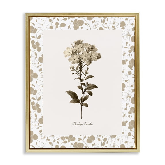 Stupell Industries Traditional Neutral Imperial Botanical Gold Floating Frame Canvas Art, 25 x 31, by Kelly Donovan
