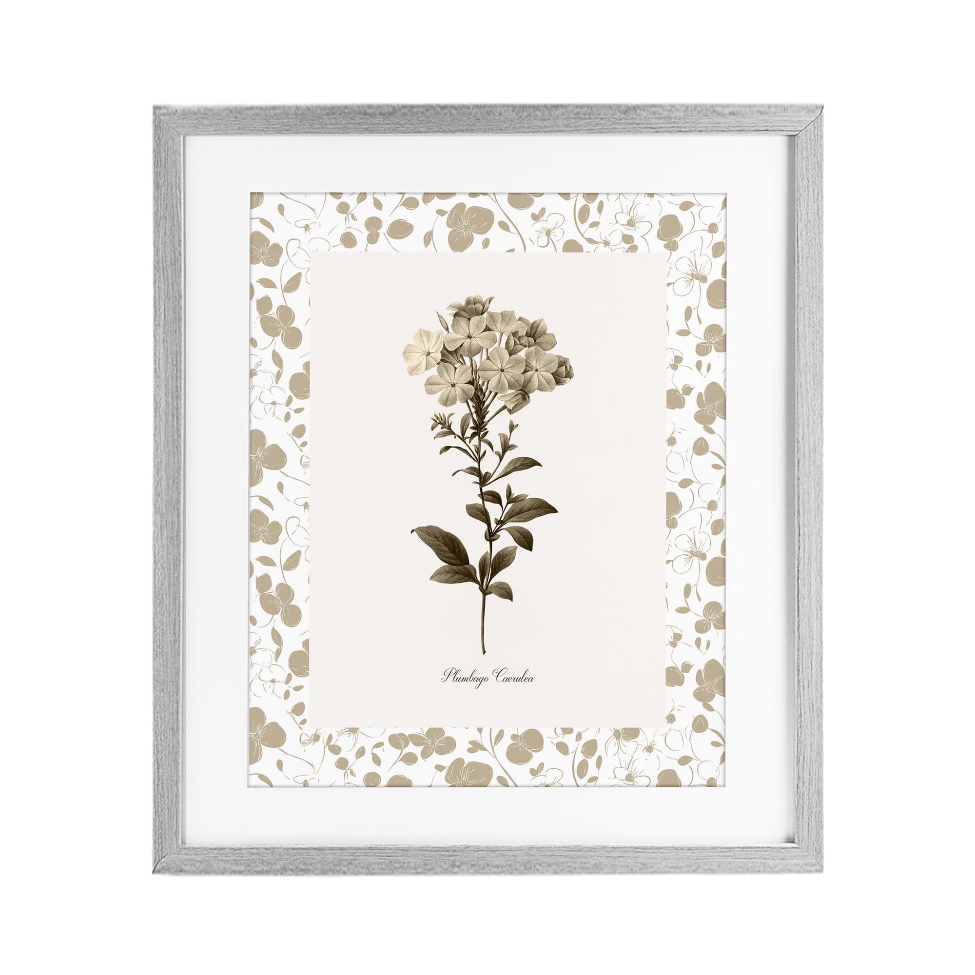 Stupell Industries Neutral Imperial Botanical Gray Framed Print Under Glass, design by Kelly Donovan