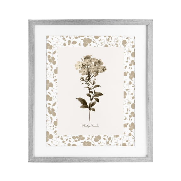 Stupell Industries Neutral Imperial Botanical Gray Framed Print Under Glass, design by Kelly Donovan