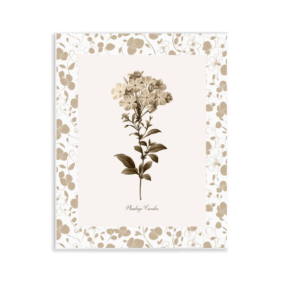 Stupell Industries Neutral Imperial Botanical Wall Plaque Art, design by Kelly Donovan
