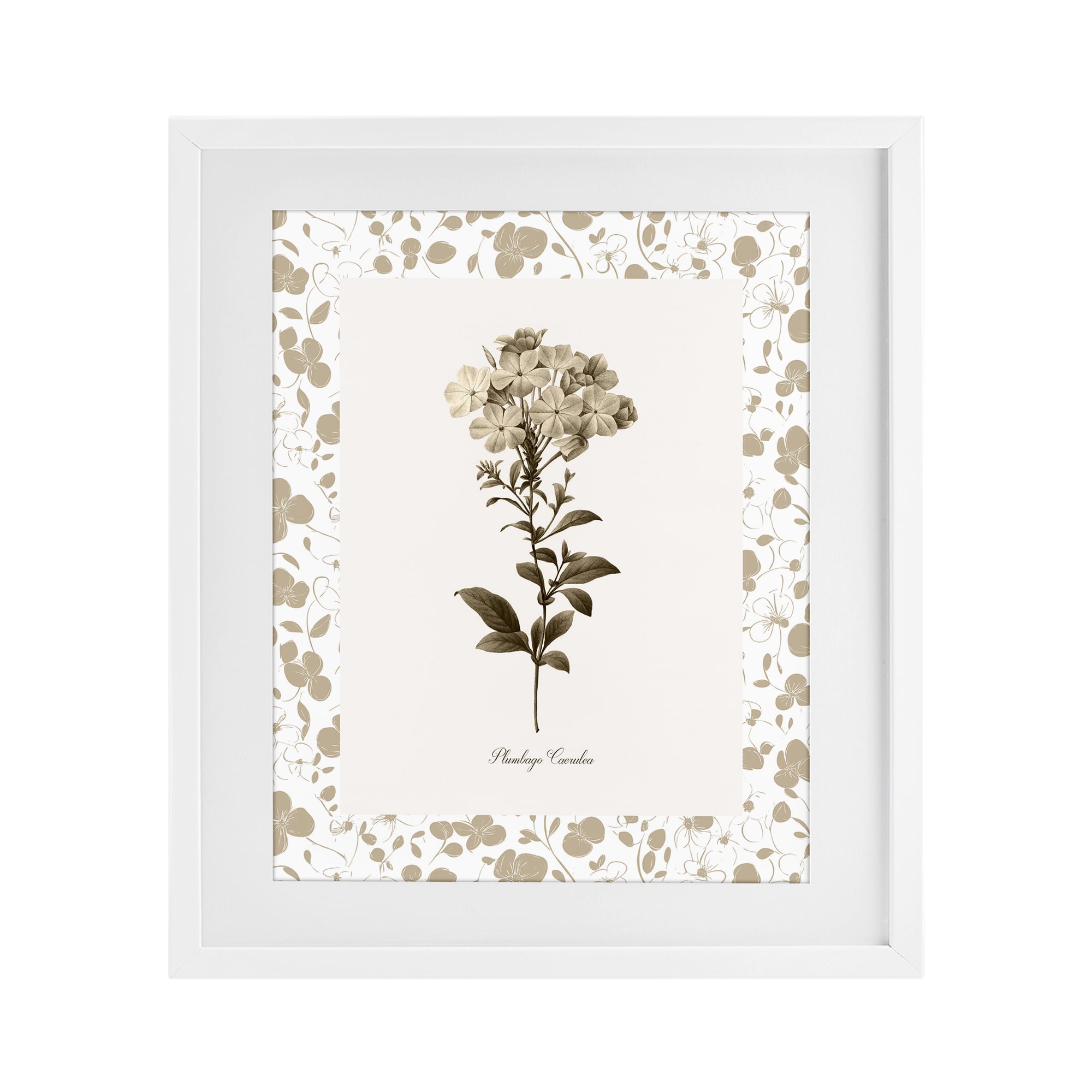 Stupell Industries Neutral Imperial Botanical White Framed Print Under Glass, design by Kelly Donovan