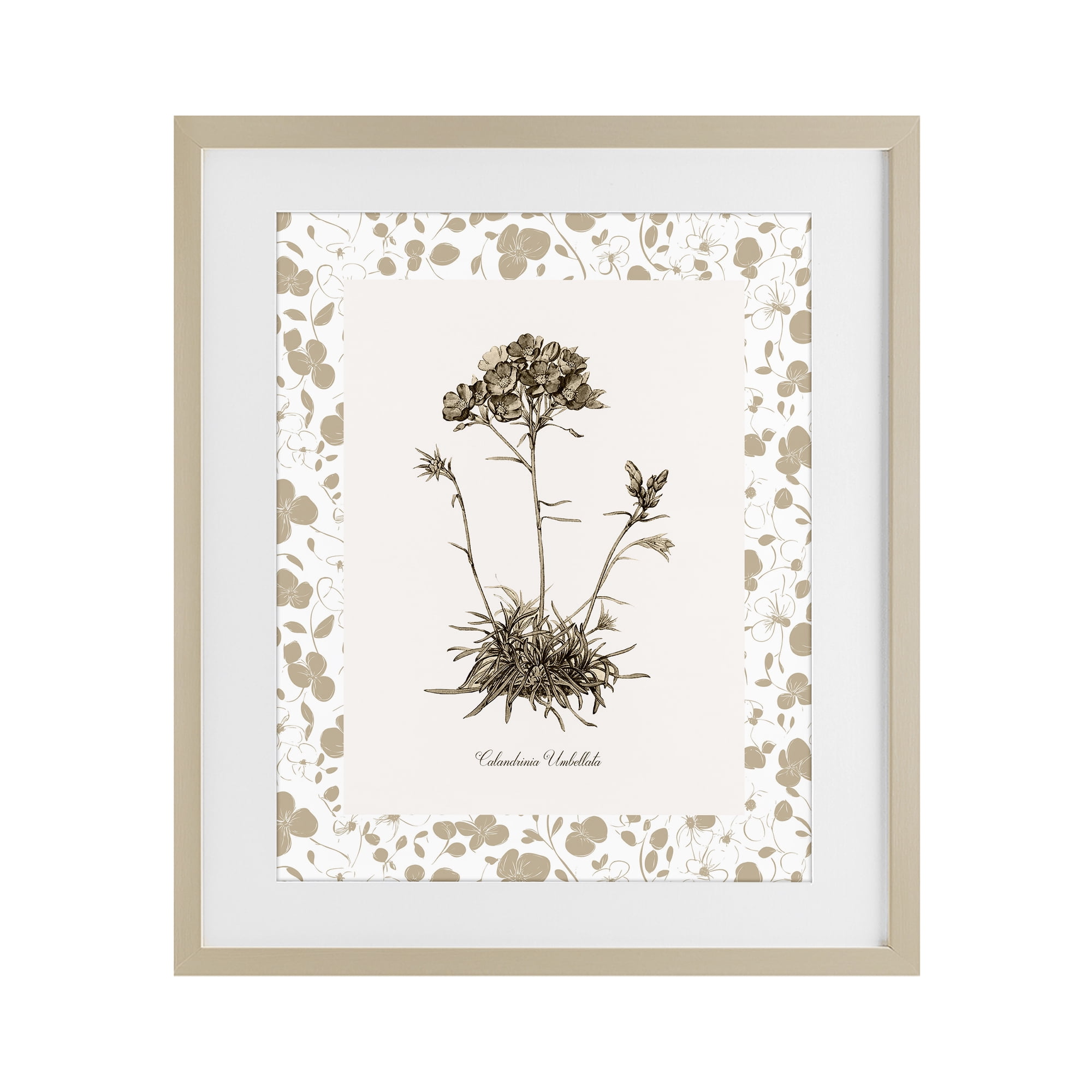 Stupell Industries Neutral Imperial Flower & Herb Birch Framed Print Under Glass, design by Kelly Donovan
