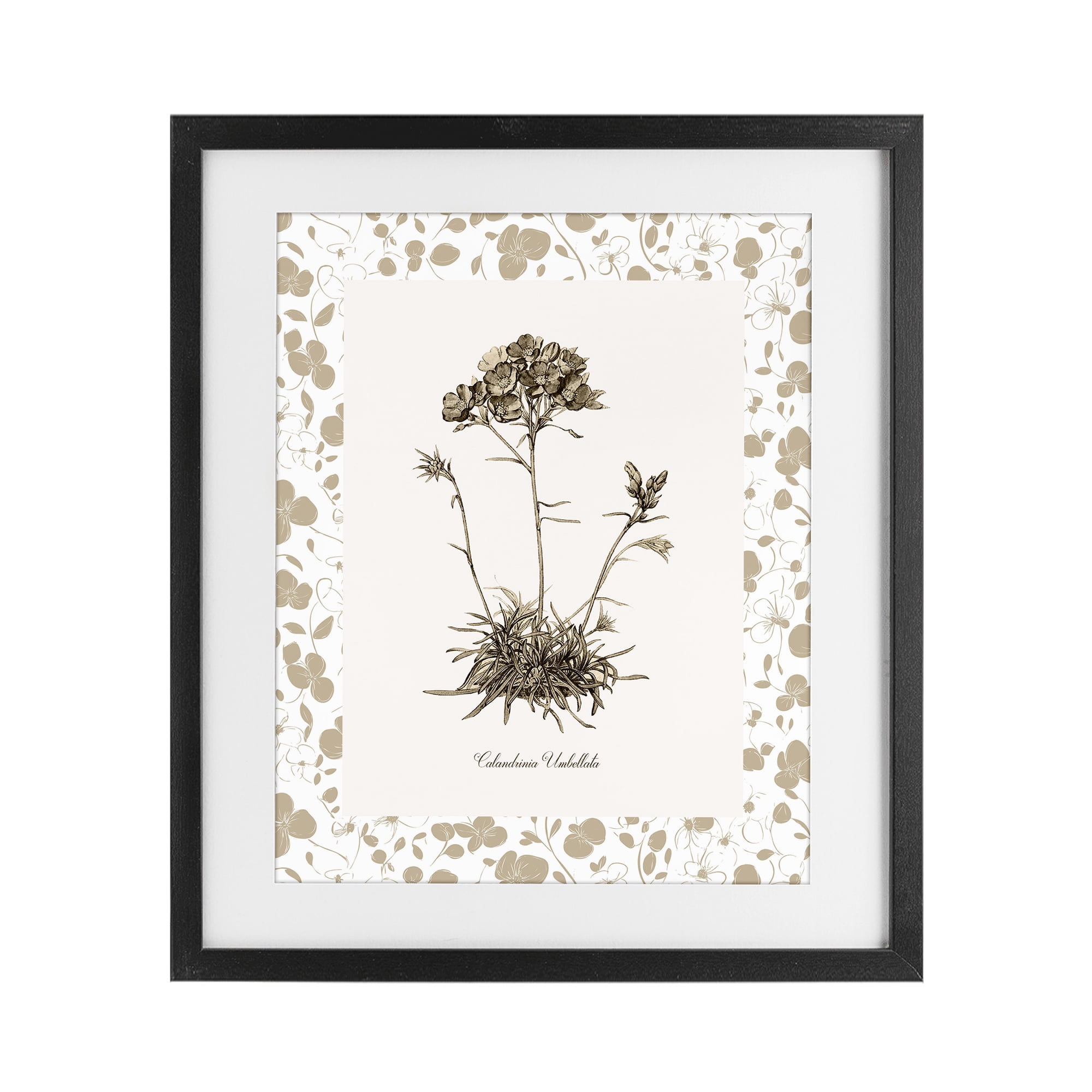 Stupell Industries Neutral Imperial Flower & Herb Black Framed Print Under Glass, design by Kelly Donovan