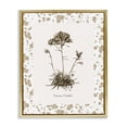 thumbnail image 1 of Stupell Industries Traditional Neutral Imperial Flower & Herb Gold Floating Frame Canvas Art, 17 x 21, by Kelly Donovan, 1 of 8