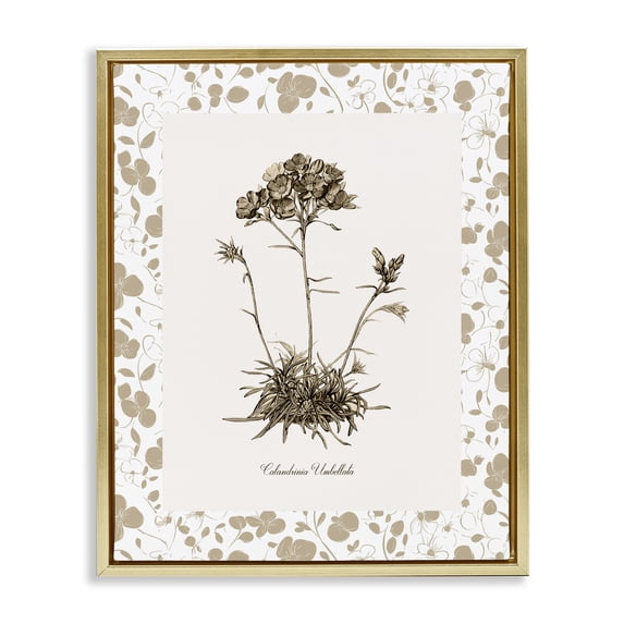 Stupell Industries Traditional Neutral Imperial Flower & Herb Gold Floating Frame Canvas Art, 17 x 21, by Kelly Donovan