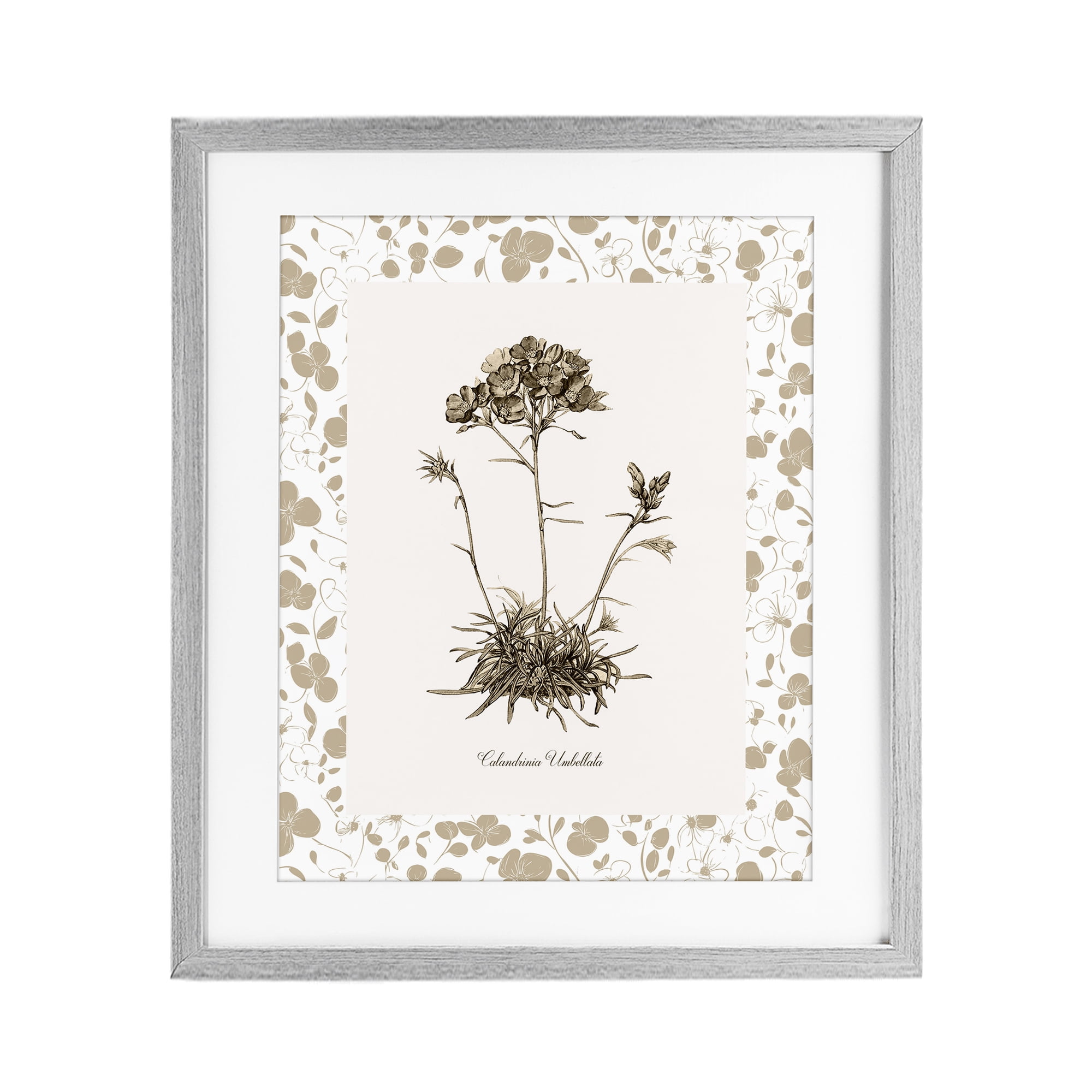 Stupell Industries Neutral Imperial Flower & Herb Gray Framed Print Under Glass, design by Kelly Donovan