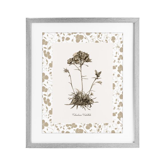 Stupell Industries Neutral Imperial Flower & Herb Gray Framed Print Under Glass, design by Kelly Donovan