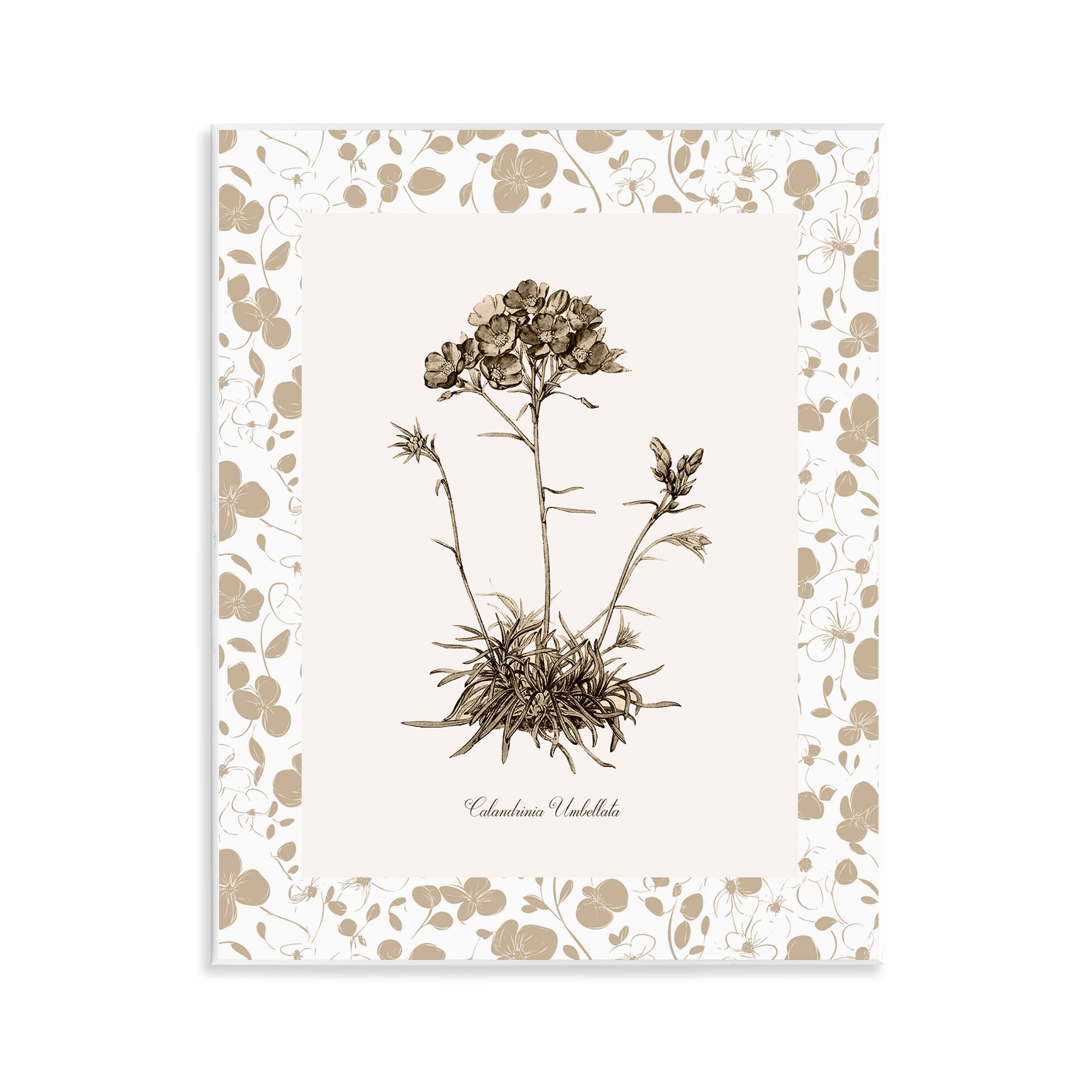 Stupell Industries Neutral Imperial Flower & Herb Wall Plaque Art, design by Kelly Donovan
