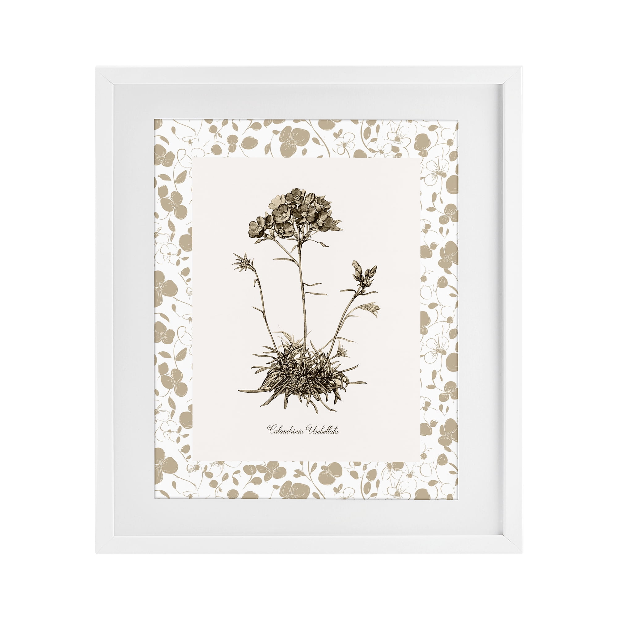 Stupell Industries Neutral Imperial Flower & Herb White Framed Print Under Glass, design by Kelly Donovan