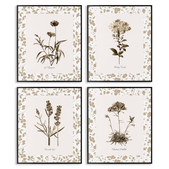 Stupell Industries Neutral Imperial Flower Studies 4 Piece Black Framed Giclee Art Set, design by Kelly Donovan