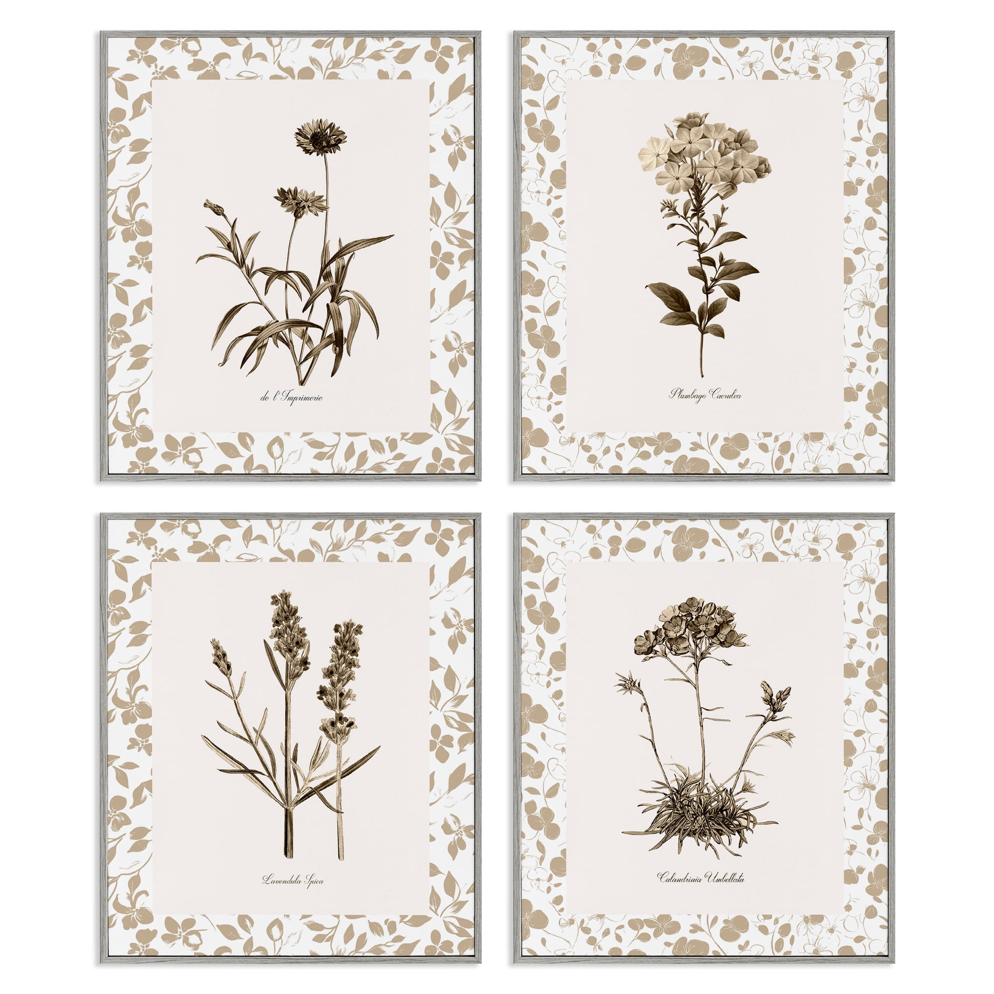 Stupell Industries Neutral Imperial Flower Studies 4 Piece Gray Framed Giclee Art Set, design by Kelly Donovan