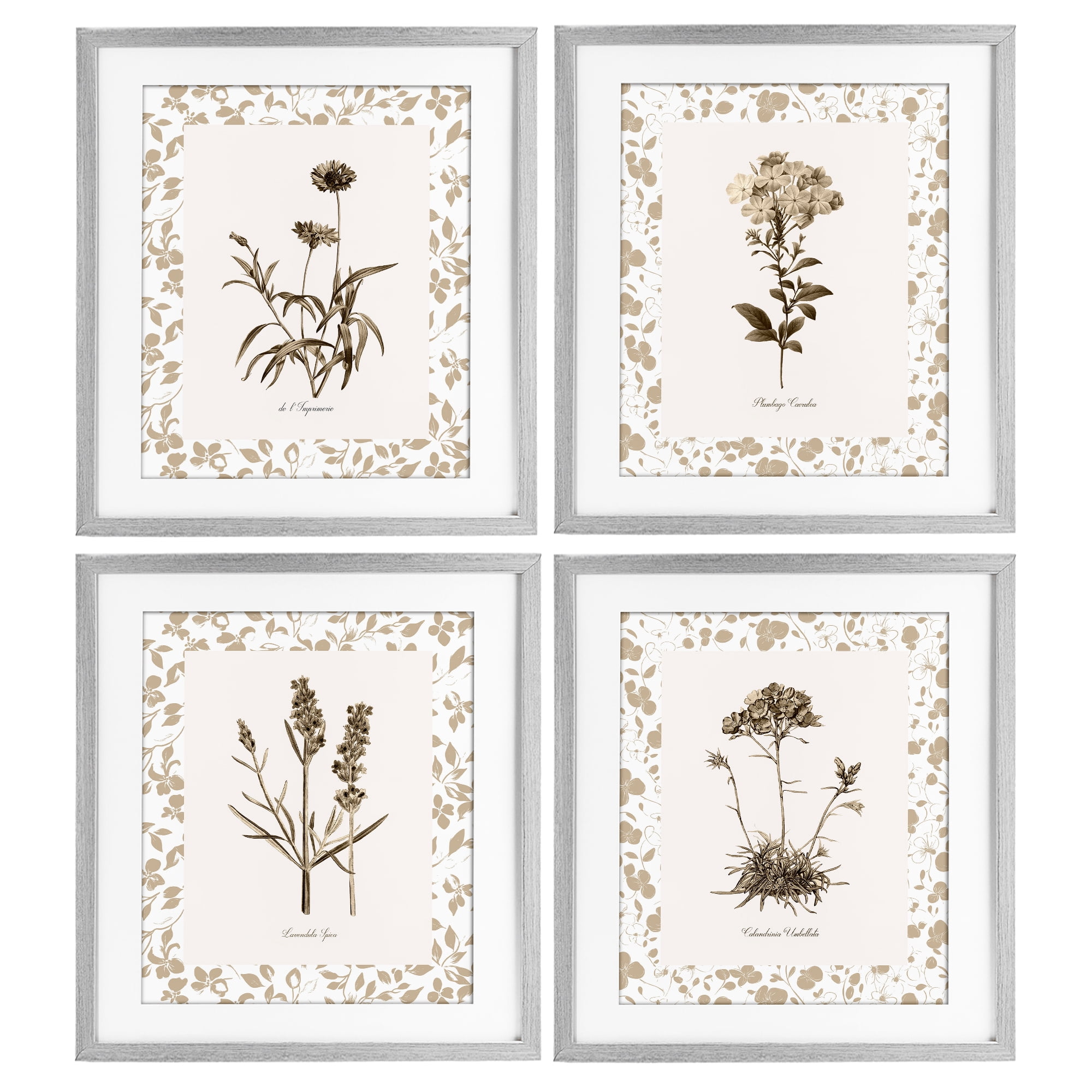 Stupell Industries Neutral Imperial Flower Studies 4 Piece Gray Framed Print Under Glass Set, design by Kelly Donovan