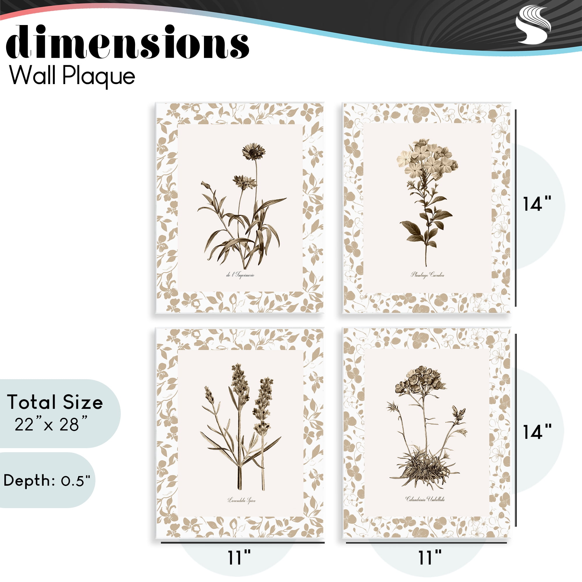 Stupell Industries Neutral Imperial Flower Studies 4 Piece Wall Plaque Art Set, design by Kelly Donovan