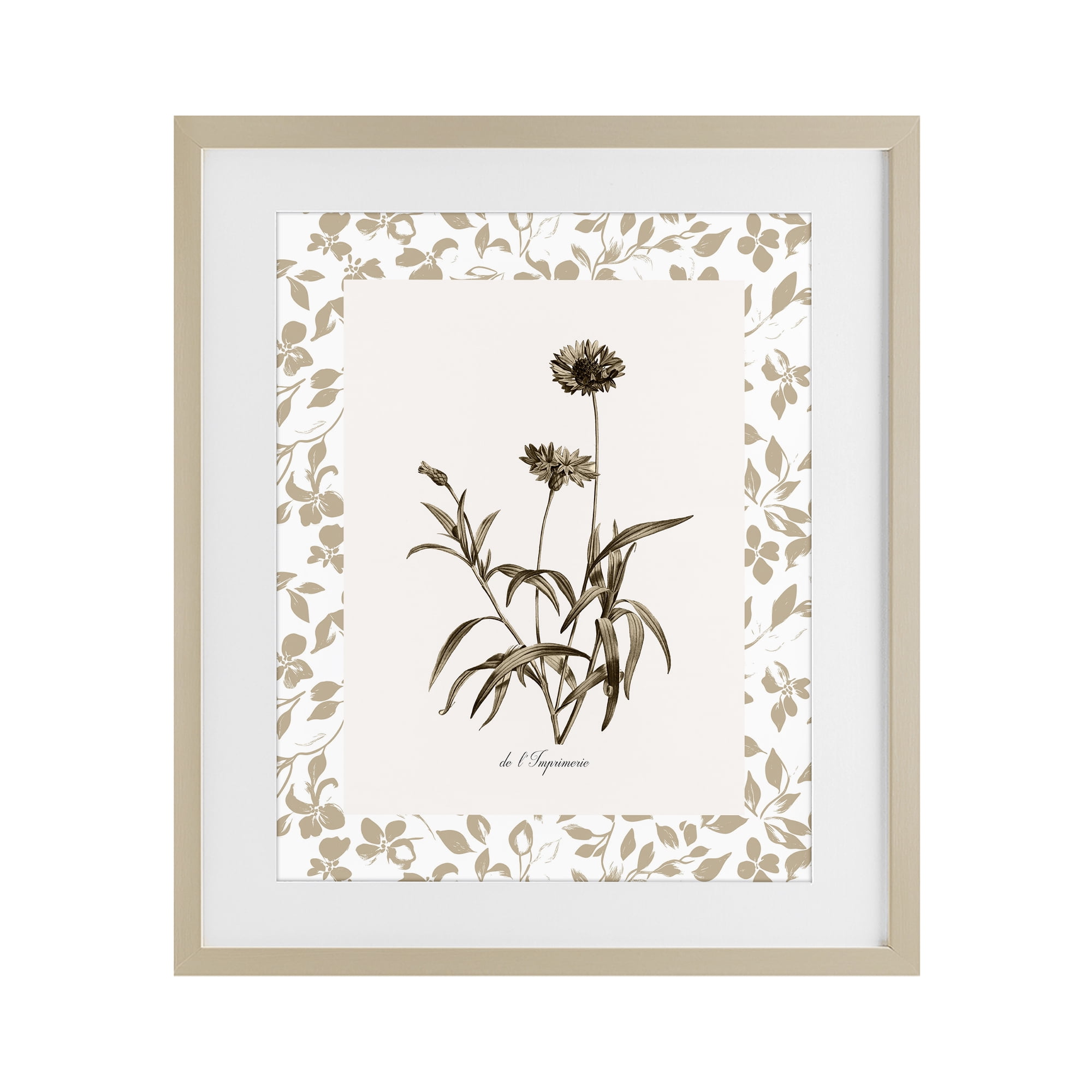 Stupell Industries Neutral Imperial Flowers Birch Framed Print Under Glass, design by Kelly Donovan