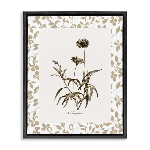 Stupell Industries French Country Neutral Imperial Flowers Black Floating Frame Canvas Art, 17 x 21, by Kelly Donovan