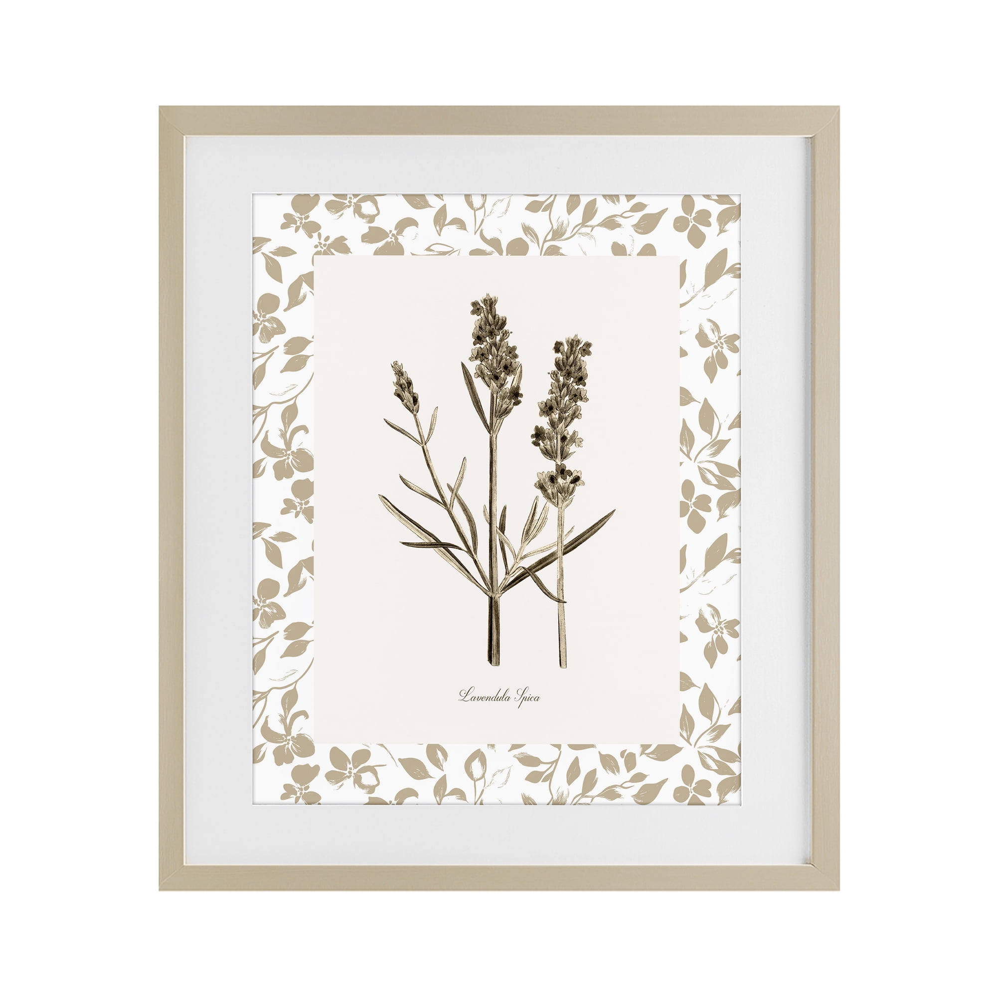 Stupell Industries Neutral Imperial Herb Study Birch Framed Print Under Glass, design by Kelly Donovan