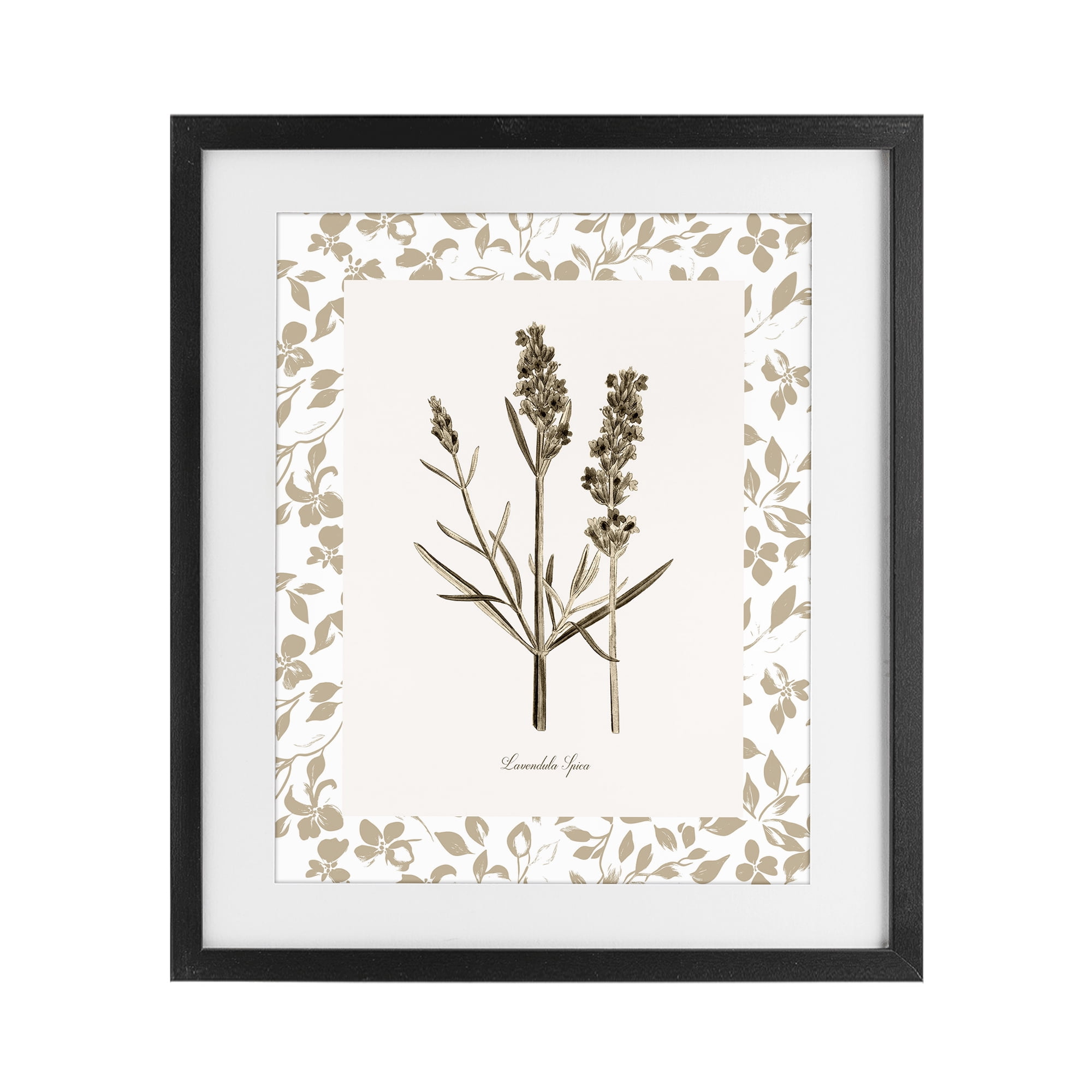 Stupell Industries Neutral Imperial Herb Study Black Framed Print Under Glass, design by Kelly Donovan