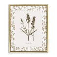 thumbnail image 1 of Stupell Industries Traditional Neutral Imperial Herb Study Gold Floating Frame Canvas Art, 25 x 31, by Kelly Donovan, 1 of 8