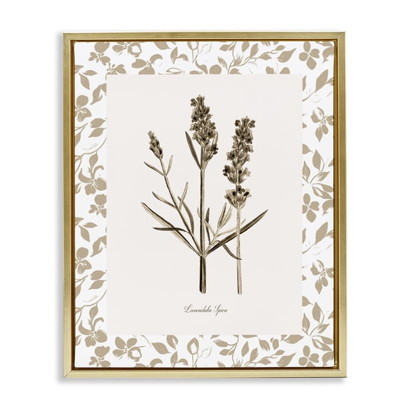 Stupell Industries Traditional Neutral Imperial Herb Study Gold Floating Frame Canvas Art, 25 x 31, by Kelly Donovan