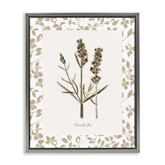 Stupell Industries Neutral Imperial Herb Study Gray Framed Floater Canvas Wall Art, design by Kelly Donovan