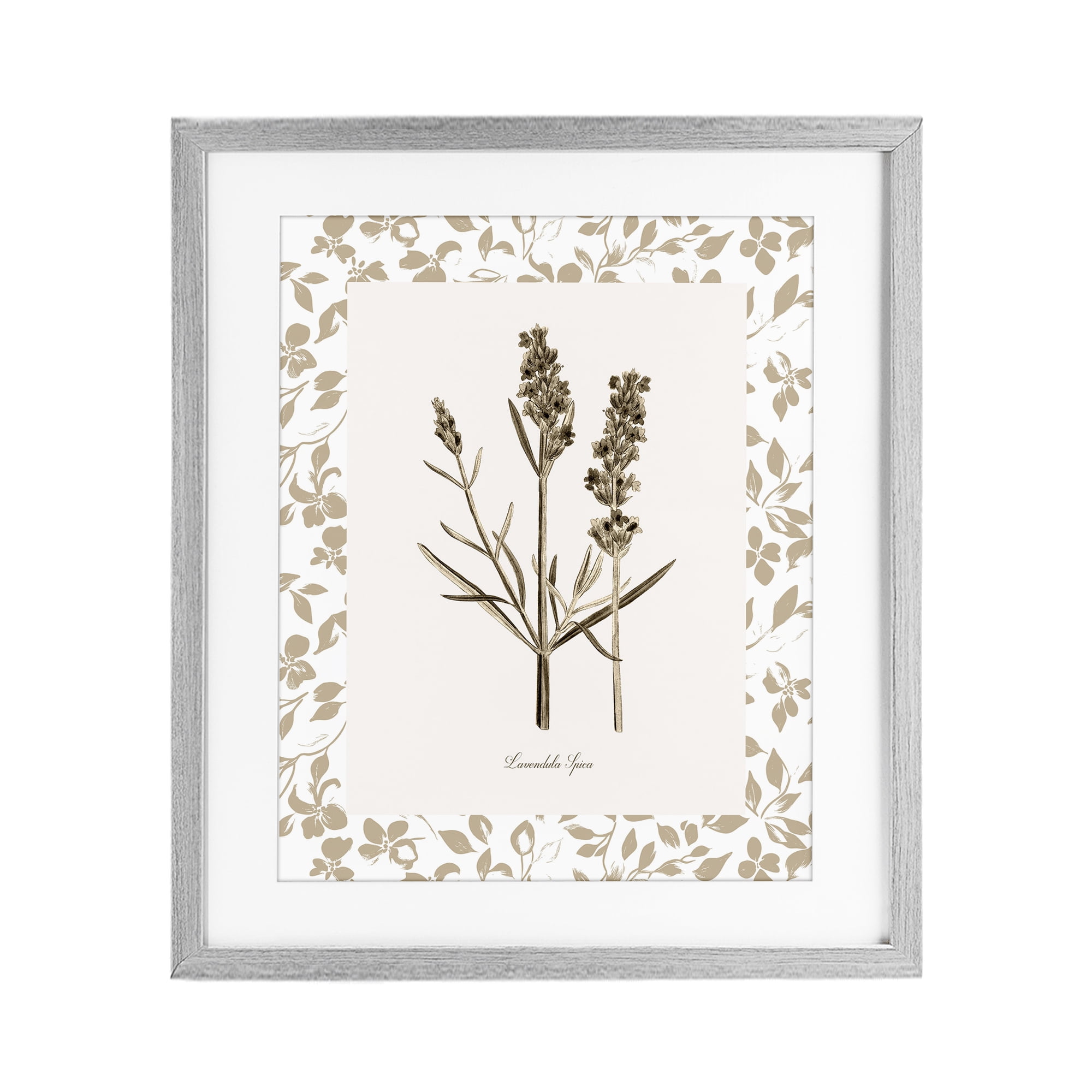 Stupell Industries Neutral Imperial Herb Study Gray Framed Print Under Glass, design by Kelly Donovan